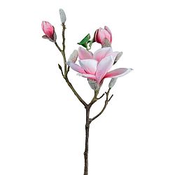 Umelá Rastlina Magnolie, V: 69cm