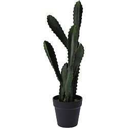 Koopman Umelý kaktus Willcox, 54 cm